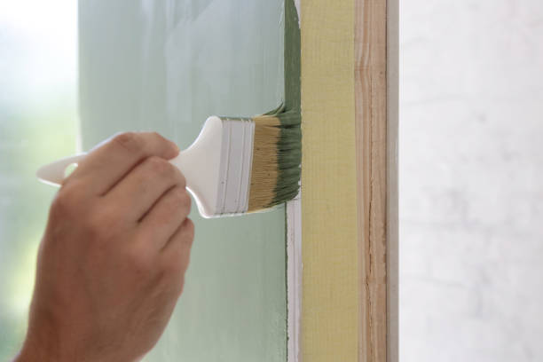 Best Attic Mold Removal  in Brooklyn Park, MN
