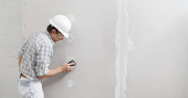 Professional Mold Removal in Brooklyn Park, MN