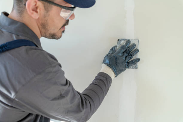 Best Mold Prevention Services  in Brooklyn Park, MN