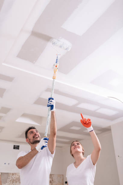 Best Mold Remediation for Healthcare Facilities  in Brooklyn Park, MN