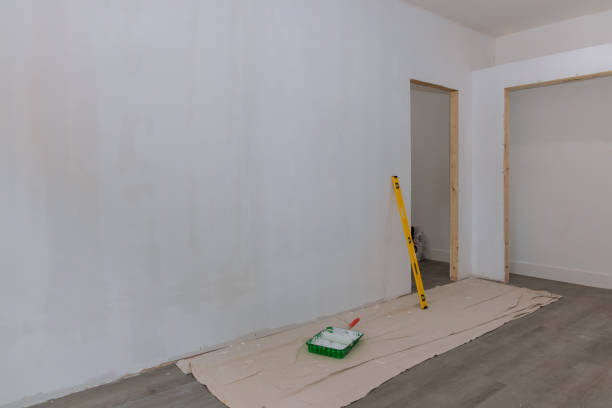 Best Airborne Mold Testing  in Brooklyn Park, MN