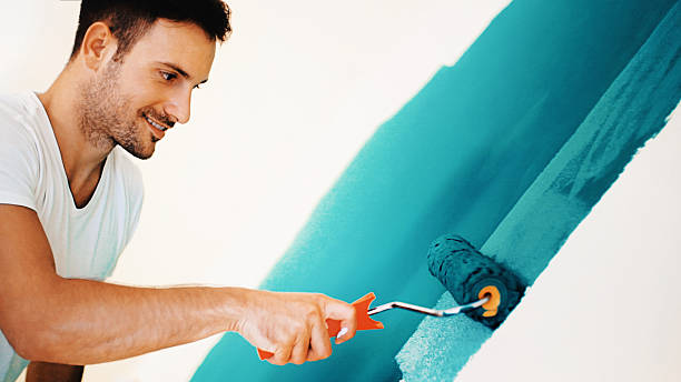 Best Emergency Mold Remediation  in Brooklyn Park, MN