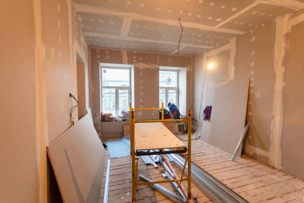 Best Post-Construction Mold Inspection  in Brooklyn Park, MN